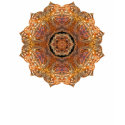 Turtleshell design mandala t-shirt