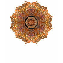Turtleshell design mandala t-shirt