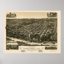 Tuscaloosa, AL Panoramic Map - 1887 Posters