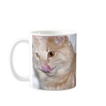 Tuscan 2 mugs