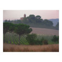 Tuscan Chapel Sunrise posters