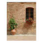 Tuscan pot n plants post cards