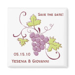 Tuscan Vineyard Wedding Save the Dates magnets