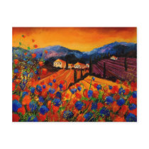 tuscany poppies 45 postcards