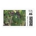Tuscany Vinyard Stamp stamp