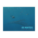 Tusoteuthis and Tylosaurus postcards