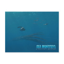 Tusoteuthis and Tylosaurus postcards by seamonsters Tusoteuthis and Tylosaurus postcards