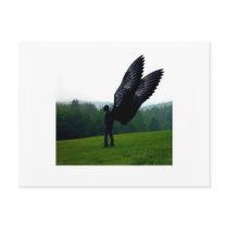 Tussen postcards