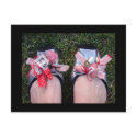 TuTu's for Your Toes - postcard