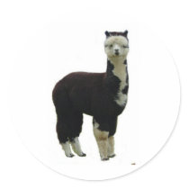 Tuxedo Alpaca Stickers