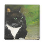 Tuxedo Cat Art Magnet