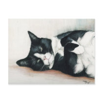 "Tuxedo Cat" Art Postcard