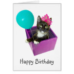 Tuxedo Cat Birthday Card