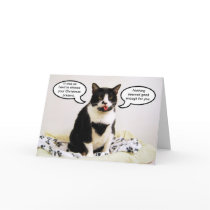 Tuxedo Cat Christmas Humor Card