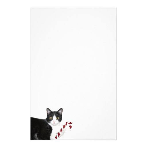 Tuxedo cat Christmas Stationery | Zazzle
