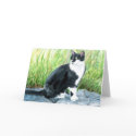 Tuxedo Cat Greeting Card