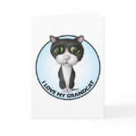 Tuxedo Cat - I Love My Grandcat cards
