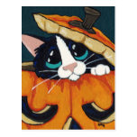Tuxedo Cat in Pumpkin Halloween Postcard