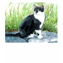 Tuxedo Cat Ladies T-shirt