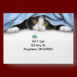 Tuxedo Cat Lover Envelope envelopes