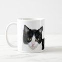 Tuxedo cat mug