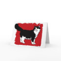 'Tuxedo' Cat Notecard