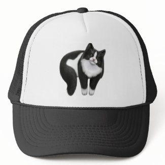Tuxedo Cat on a Hat hat