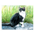 Tuxedo Cat Print