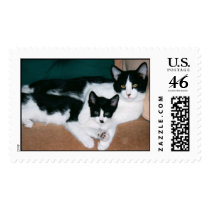 Tuxedo cats stamp by dollargrafix Tuxedo cats stamp