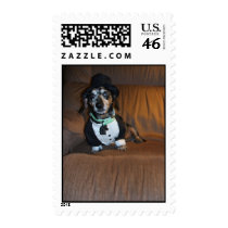 Tuxedo Dog postage