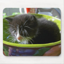 Tuxedo Kitten Cat Cute Baby Kitty with Whiskers Mouse Pad
