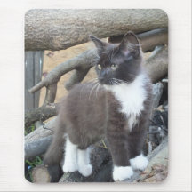 Tuxedo Kitten Mousepad