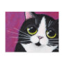 Tuxedo Kitty Cat On Pink Postcard