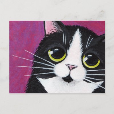 Cute whimsical style black and white tuxedo cat postcard.