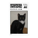 Tuxedo Lovers Postage postage