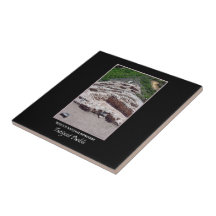 Tuzigoot Pueblo #712b Ceramic Tile