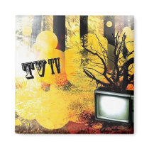 TV/TV magnets