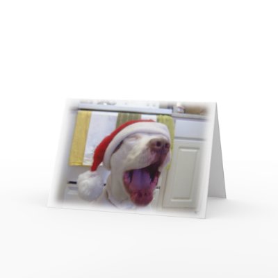 Twas the Night Before Christmas cards
