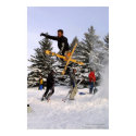 Tweaked Ski Grab posters