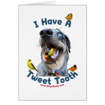 Tweet Tooth Bird Dog Greeting Cards