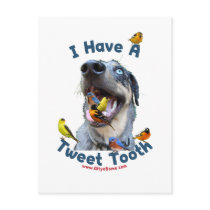Tweet Tooth Bird Dog Post Card