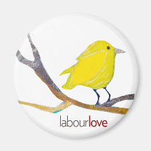 Tweet. Tweet Magnets