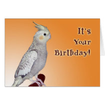 Tweet Yourself Birthday cards