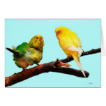 Tweethearts Greeting Cards