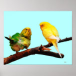 Tweethearts Posters