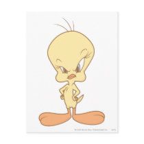 Tweety Angry Postcards