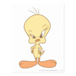 Tweety Angry Postcards