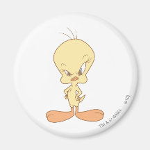 Tweety Angry Refrigerator Magnets