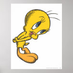 Tweety Bashful Poster
