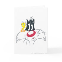 Tweety In Action Pose 12 Greeting Cards